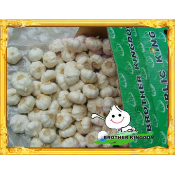 Best garlic price of 2014/Natural jinxiang garlic/Garlic price in China 2014